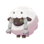 Ovis
