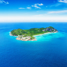 Why are you on a island?