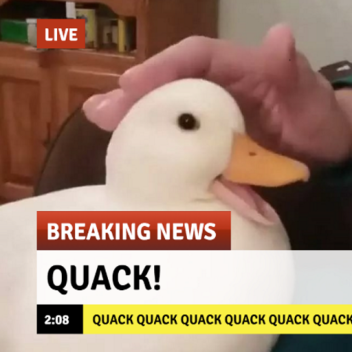 QUACK (x9999)