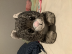 Lil cat place