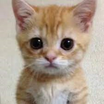 Pinkygamer fan group :3