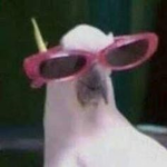 Sky Sheeps