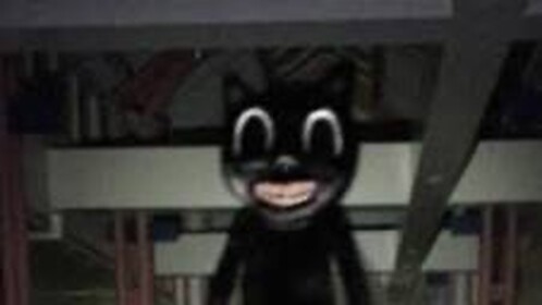 survive cartoon cat