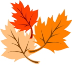 Maple Bear Studios