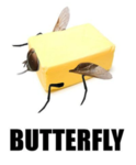 Butterflybunch