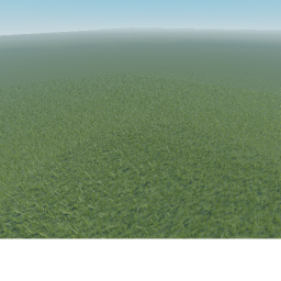 walking in a giant field