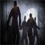 cod zombie slayers till the end