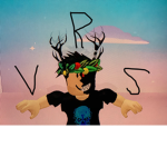 V R S BROS