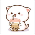 Boba kitty's