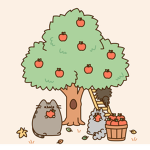 The Costume Cats