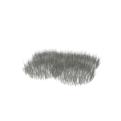 Grass