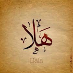 Hala Studio
