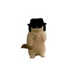 The Kripples