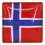 Norwegian club