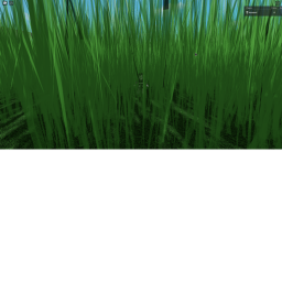 Hide and Seek
