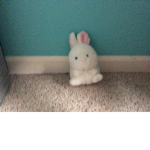 Easter gourp