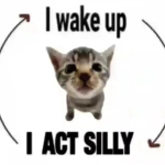 FEELING_SILLY