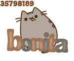 ୨୧bonita Group Thumbnail