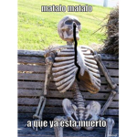 Los pichachos ( amigos) todos mis amigos están in