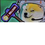 Doge coin doge