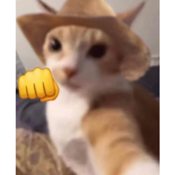 First version of ZDBOD