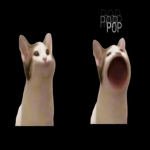 언더테일 팬클럽!!!!!