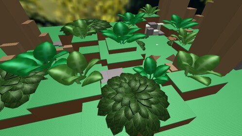 Giant Forest