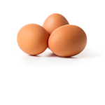 EGGZ for life