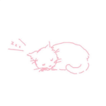 .katpaws.