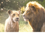 simba fam