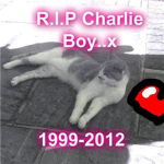 R.I.P Charlie Boy... 1999-2012
