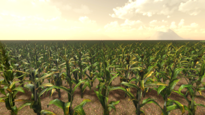 Realistic Cornfield Generator preview 1
