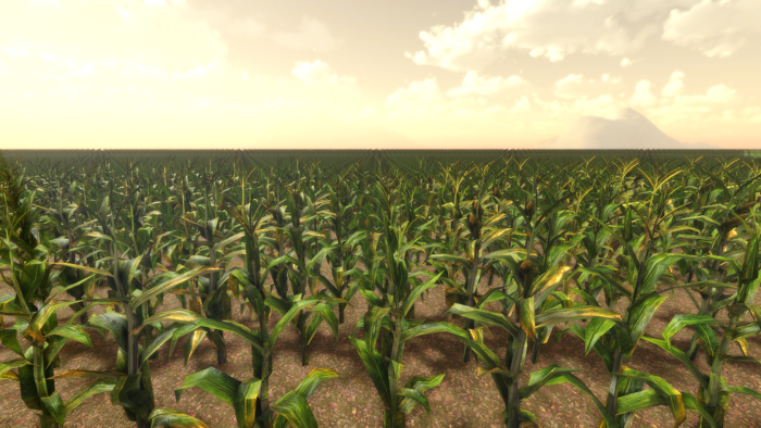 Realistic Cornfield Generator preview 1