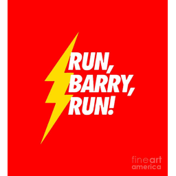 RUN THE FLASH ! icon