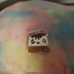 Rainbow smores!