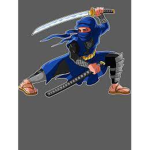 Ultra Ninja Studios