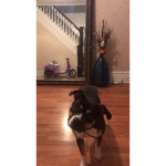 Slayz Gang!