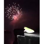 Frogwithfireworks