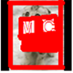 MoltenClan