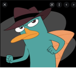 Secret organisation of agents
