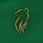 Madra Rua Studios Group Thumbnail