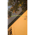 !Bee_Squad!