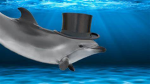 DolphinMafia