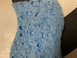 [LITTLE SPONGES]