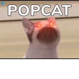 POPCATS hangout