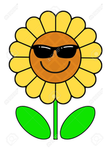 The Mr.Flower Club!