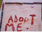 Adopt me pour les fans