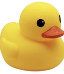 Duckcraft Studios