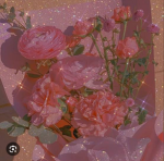 Flower dream land!