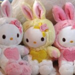 Kitty HomeStore ୨୧ *·˚ v1